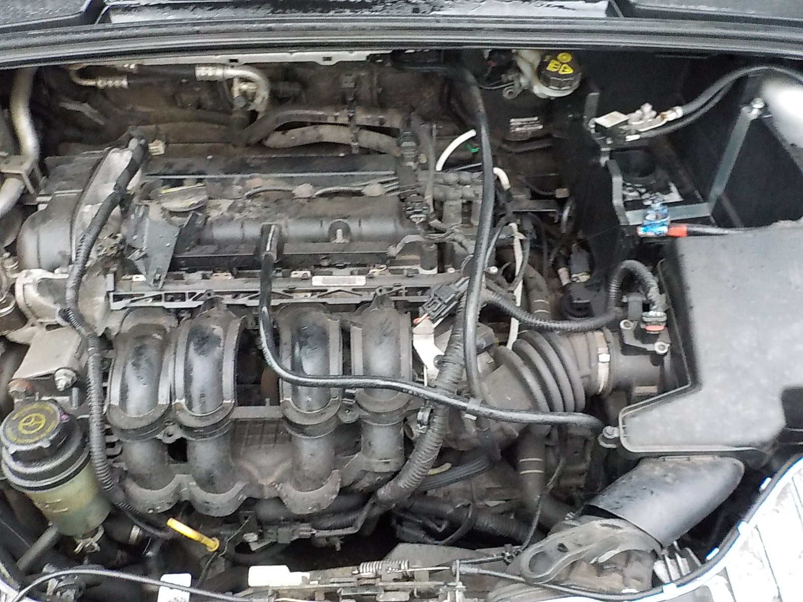 Ford Focus 1.5 AT Titanium (07.2015 - н.в.) - технические ...
